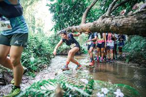 BIB: 
                            <button type="button" onclick="openModal(25469808)" class="btn btn-primary btn-sm float-right btn-popup" data-toggle="modal" data-target=".modal-high-quality">
                        <i class="fas fa-shopping-cart"></i> Add to Cart
                    </button>
                                            <button type="button" onclick="isThisMe(25469808, true)" class="btn btn-success btn-sm float-right btn-popup btn-isme hidden" data-toggle="tooltip" data-placement="bottom" title="นี่คือรูปของคุณใช่ไหม คลิกที่นี่เพื่อเอาเข้าอัลบั้ม">
                        <i class="fas fa-plus"></i> Add to album
                    </button>
                    <button type="button" onclick="isThisMe(25469808, false)" class="btn btn-warning btn-sm float-right btn-popup btn-isnotme hidden">
                        <i class="fas fa-ban"></i> Remove from album
                    </button>